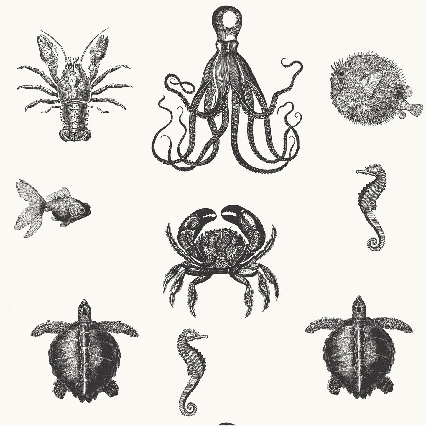 SEA LIFE WALLPAPER LARGE SCALE EBONY